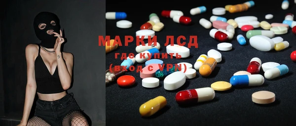 прущий лед Богданович
