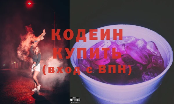 индика Баксан