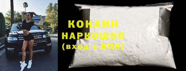 индика Баксан