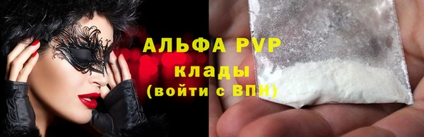 индика Баксан