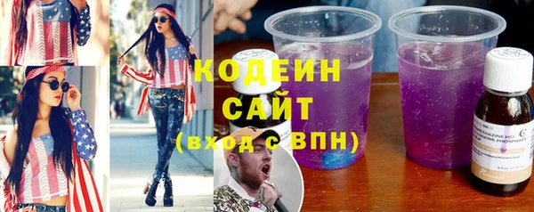прущий лед Богданович